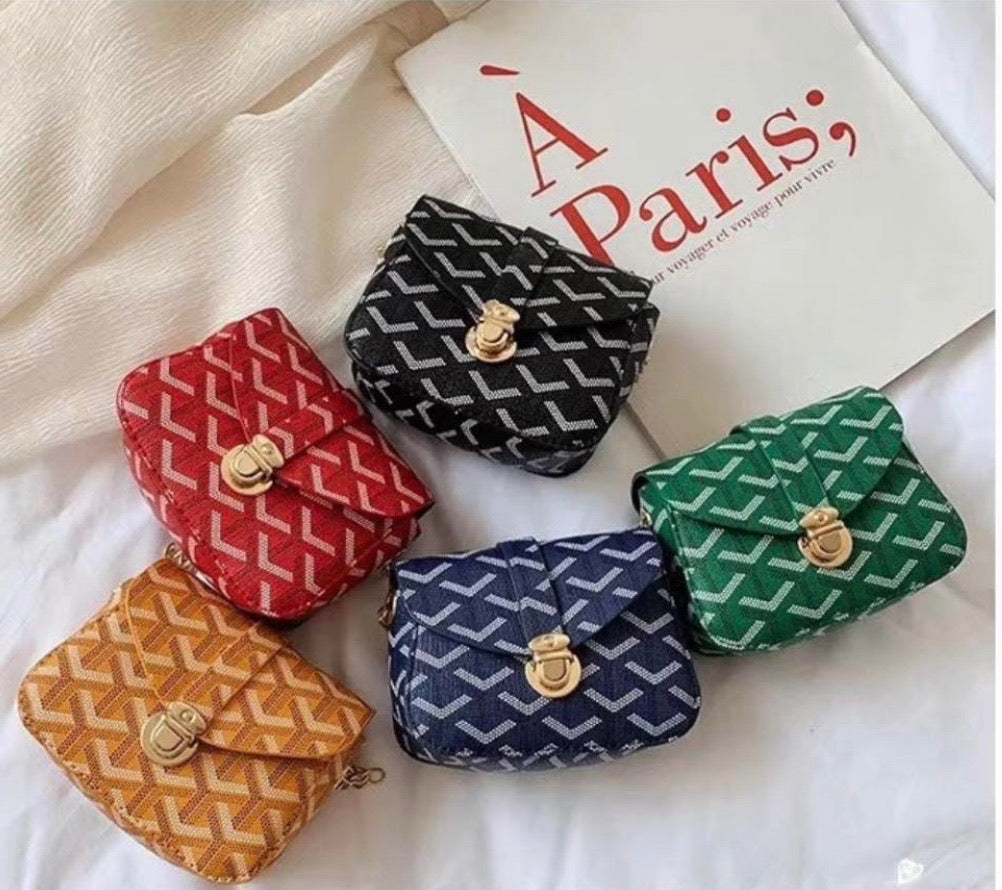 Mini Goyard Bag 